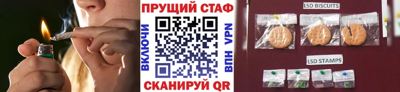 Как найти закладки Щёкино Метамфетамин  Мефедрон  Alpha PVP  Галлюциногенные грибы 