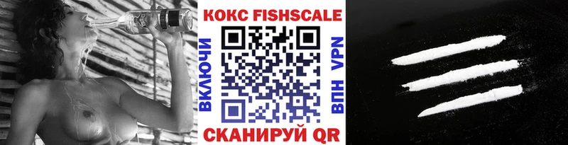 закладки  Щёкино  Cocaine Fish Scale 