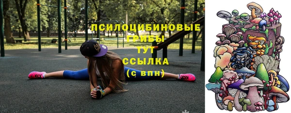 тгк Абаза