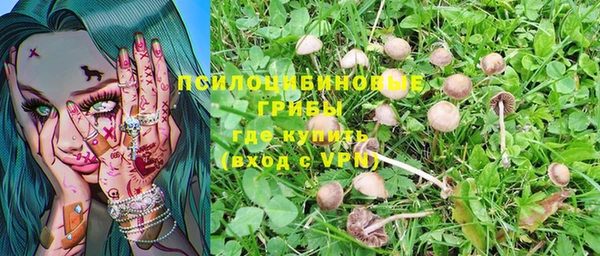 твердый Абинск